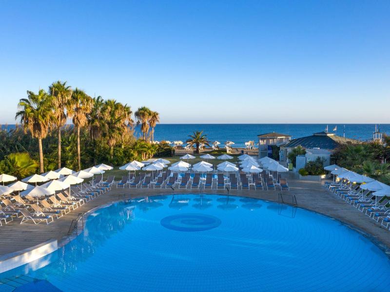 Outdoor pool with lounge chairs and palm trees overlooking the ocean under a clear sky.