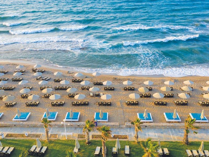 Playa con sombrillas y tumbonas a lo largo de la costa, con palmeras y área de piscina al frente.
