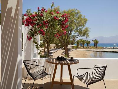 Terrasse avec table et chaises près d'un arbre en fleurs avec vue sur la mer par temps ensoleillé.