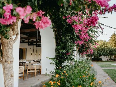 Extérieur d'un hôtel avec bougainvillier rose en fleurs, jardin et porte d'entrée.