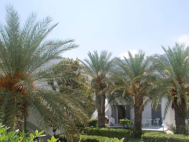 Edificio dell'hotel con palme e giardino curato sotto un cielo sereno.