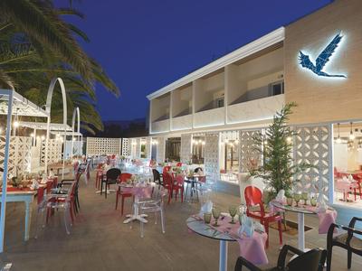 Restaurantterrasse am Abend mit Tischen, Stühlen, Palmen und einem Vogel-Logo an der Hauswand.