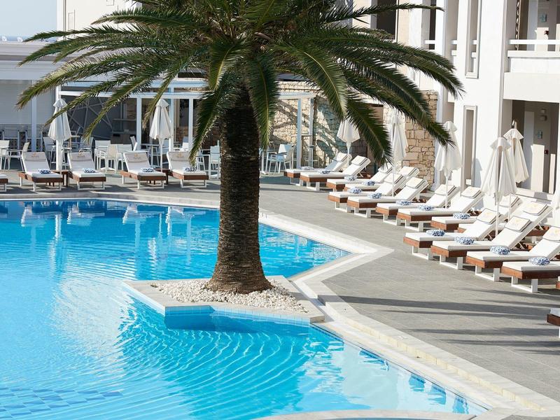 A hotel pool with a palm tree in the center and lounge chairs along the pool.