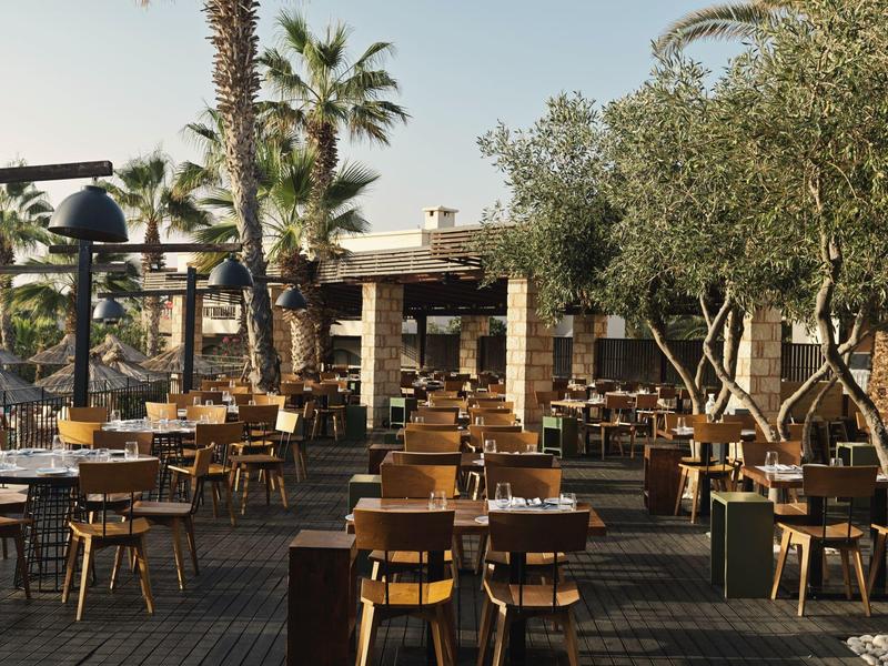 Zona exterior de restaurante con sillas y mesas de madera bajo palmeras y cielo azul.