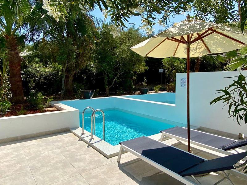 Piscine extérieure ensoleillée avec chaises longues et parasol entourée d'arbres et de plantes.