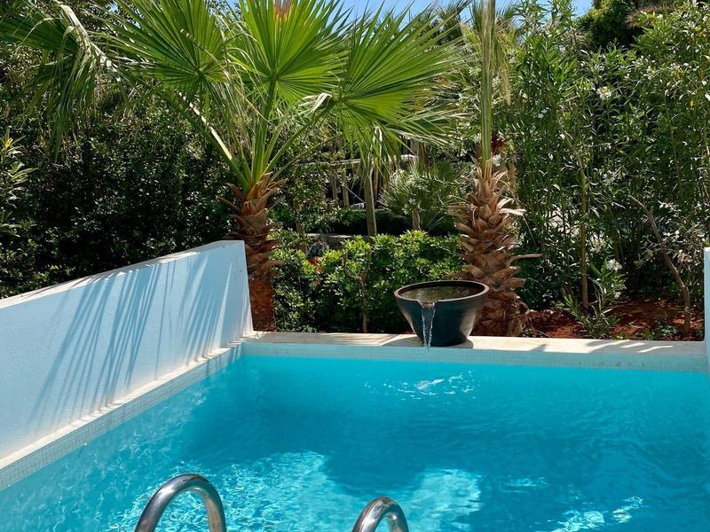Piscine bleue avec échelle en métal entourée de palmiers et de verdure sous un ciel clair.