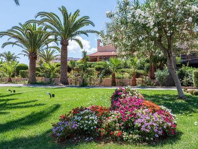 Giardino verde con aiuole colorate, palme e un albero fiorito vicino a una casa.