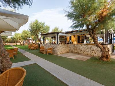 Terraza del hotel con áreas de asientos, árboles y bar cubierto a la luz del día.