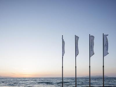 View of sea and horizon at sunset with four waving white flags.