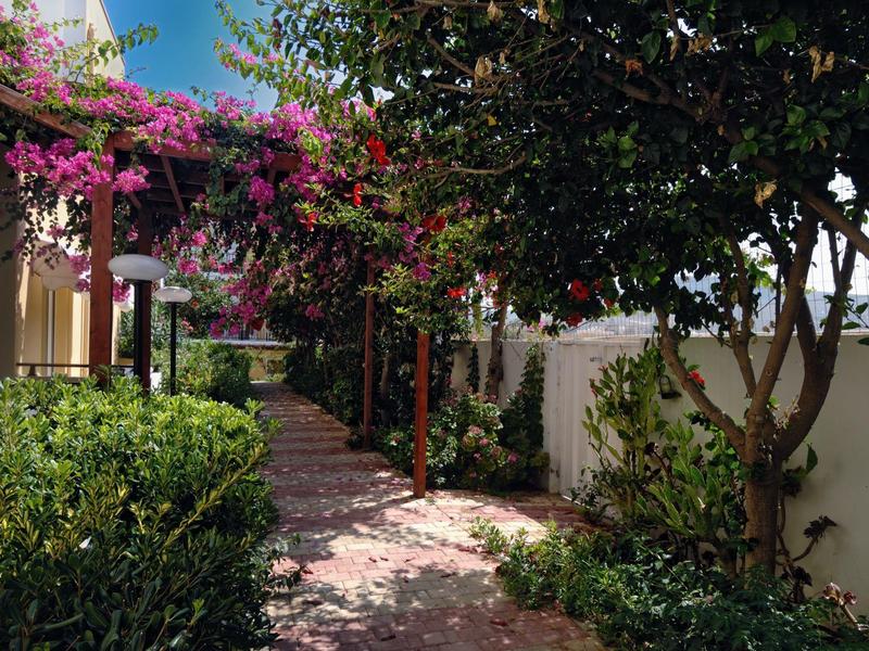 Flower-lined garden path with wall and trees at a hotel or vacation resort