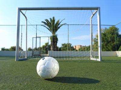 Grünes Fußballfeld mit weißem Ball vor offener Torwand, Palmen und blauem Himmel im Hintergrund.