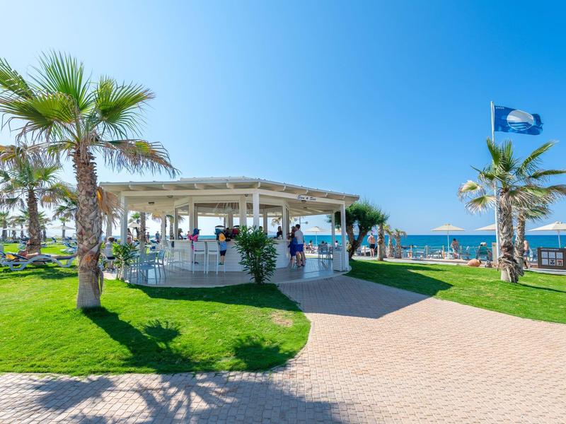 Outdoor beachside bar with palm trees, green lawn, and a clear blue sky by the sea.