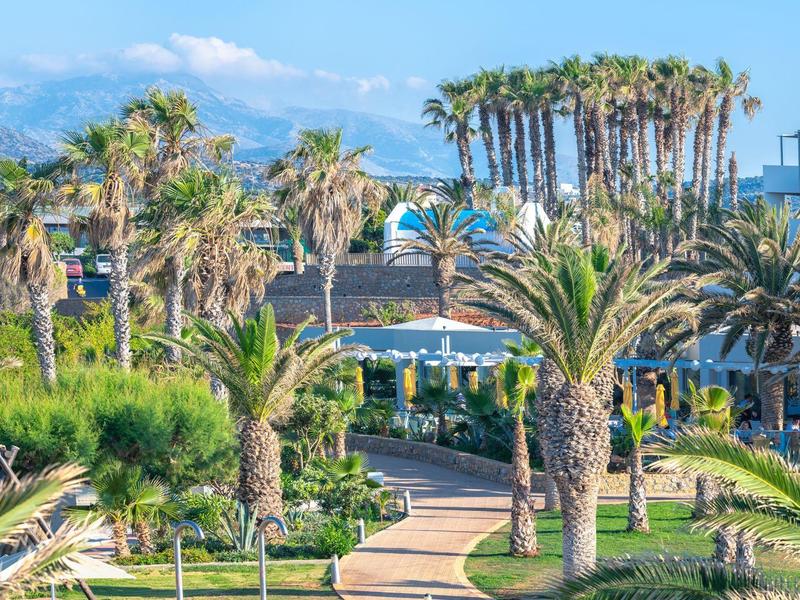 Lush tropical garden with palm trees and pathways near a hotel or resort building.