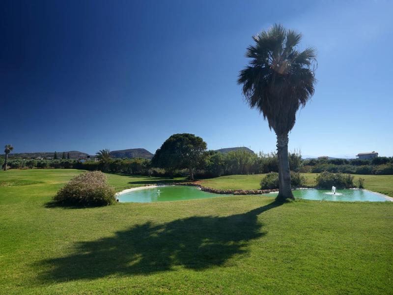 Lush green golf course with a palm tree, water hazards, and a clear blue sky.