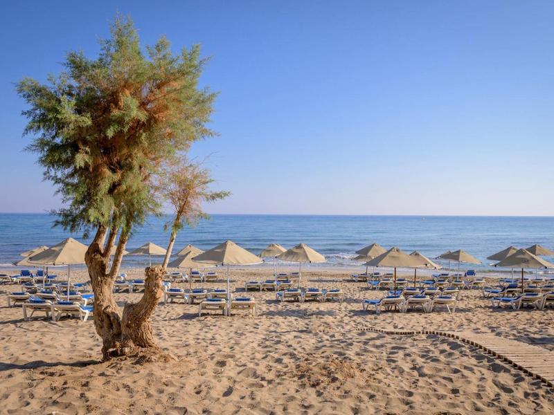 Sandy beach with a small tree, empty sunbeds, and straw umbrellas by calm sea under clear sky.