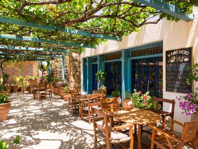 Slunečná venkovní terasa kavárny s dřevěnými stoly a zelenými révami nad hlavou.