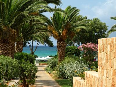 Cesta lemovaná palmami a kamennými zdmi vedoucí k moři pod modrou oblohou.