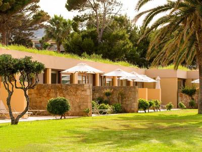 Hotelová terasa s slunečnímiky, obklopená zelenými rostlinami a stromy na slunci.