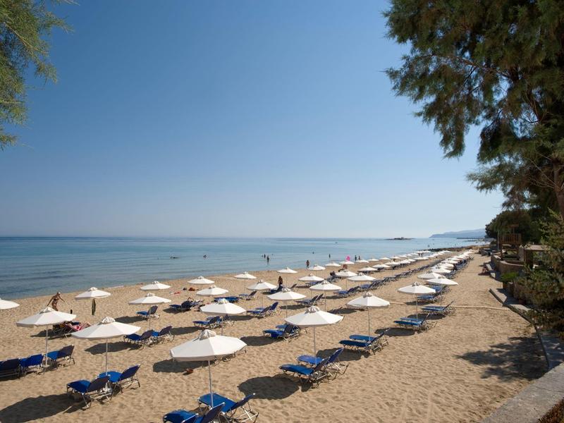 Słoneczna plaża z rzędami parasoli i leżaków przy spokojnym morzu pod czystym niebem.