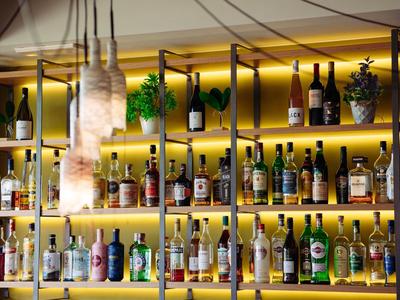 Dobrze oświetlony bar z różnorodnością alkoholi i roślin jako dekoracją.