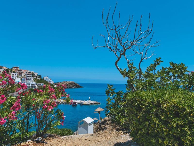Vista di una città costiera con cielo blu, mare, fiori colorati e un piccolo edificio bianco.