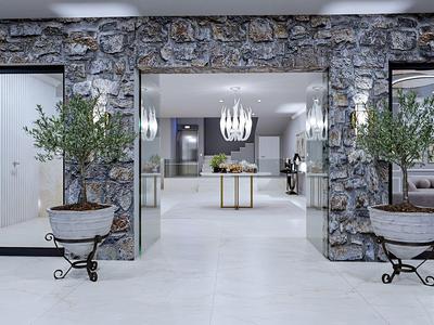 Moderner Eingangsbereich mit Steinmauern, zwei Olivenbäumen in Töpfen und hellem Bodenbelag.