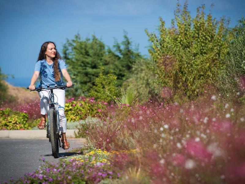 Woman riding a bicycle on a path next to blooming flowers under a blue sky.