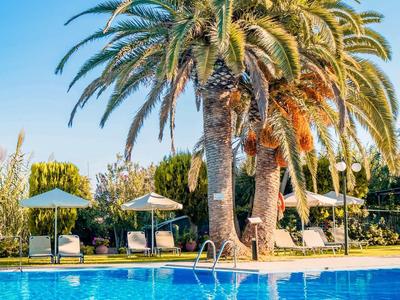 Grande palma accanto a una piscina blu limpida con lettini e ombrelloni.
