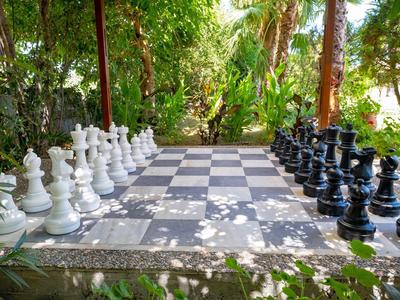 Duża zewnętrzna szachownica wśród bujnej zieleni i drzew.