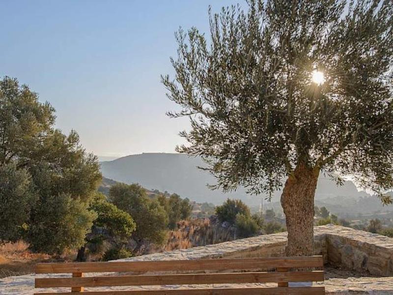 Vue ensoleillée sur des collines avec des oliviers et un mur en pierre au premier plan