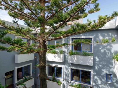 Duże drzewo stoi na dziedzińcu nowoczesnego białego budynku z tarasami i meblami.