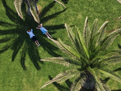 Due persone sdraiate sull'erba verde accanto a grandi palme e alle loro ombre.