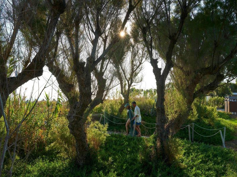 Een persoon loopt op een schaduwrijke, met bomen omzoomde pad in een park of tuin.