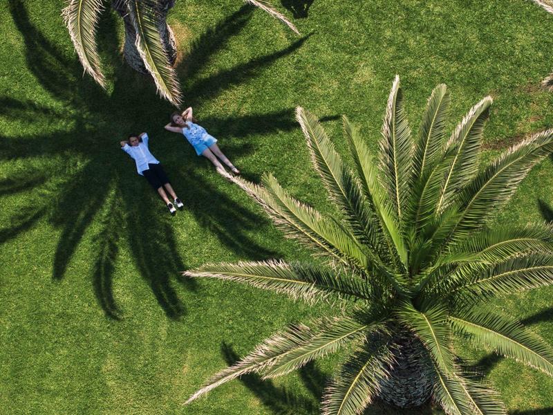 Twee mensen liggen op groen gras naast palmbomen in het zonlicht.