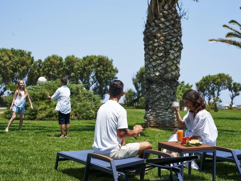 Mensen ontspannen en lopen op een grasveld met palmbomen bij zonnig weer.