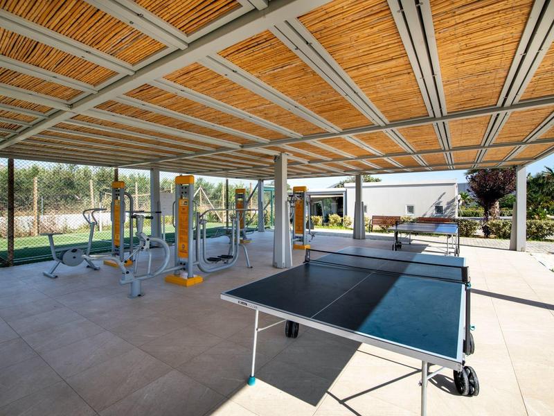 Overdekte buitenruimte met fitnessapparatuur en een tafeltennistafel onder een houten dak.