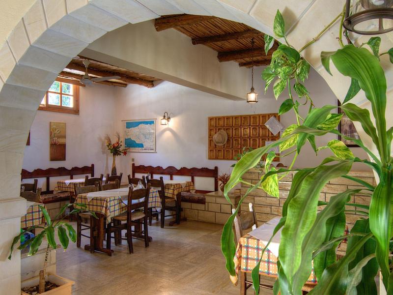 Interior de un restaurante acogedor con muebles de madera y una gran planta verde de interior.