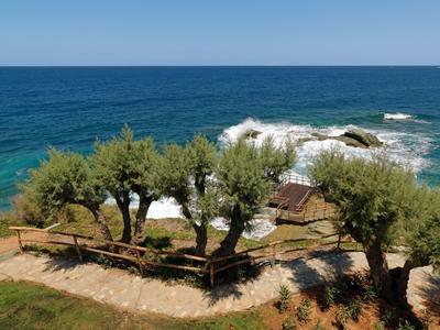 Krajobraz wybrzeża z drzewami, drewnianym ogrodzeniem i widokiem na niebieskie morze z falami.