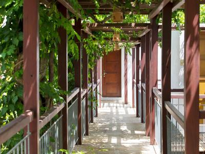 Área exterior cubierta con vigas de madera y follaje verde en un hotel.