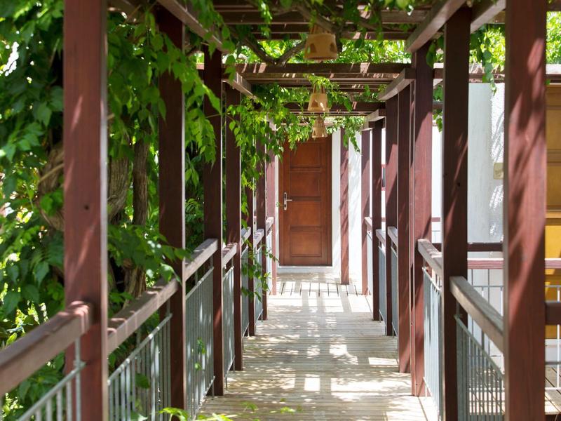 Passaggio coperto di vegetazione che conduce a una porta in legno in un hotel o casa vacanze.