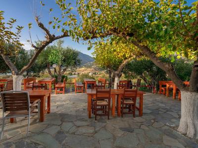 Terrazza all'aperto soleggiata con tavoli e sedie in legno sotto alberi ombrosi su pavimento in pietra naturale.