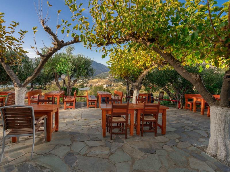 Außenbereich eines Cafés mit Holztischen und Stühlen, umgeben von Bäumen und Bergsicht im Hintergrund.