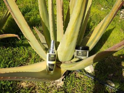 Due prodotti cosmetici su una grande foglia di aloe vera in giardino.