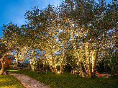 Alberi illuminati in un giardino curato con un sentiero in un'area alberghiera di notte