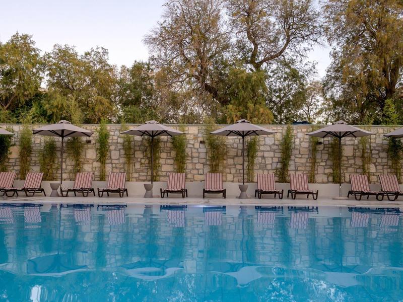 Basen na zewnątrz z czystą niebieską wodą i leżakami, otoczony murem z zielenią i drzewami.