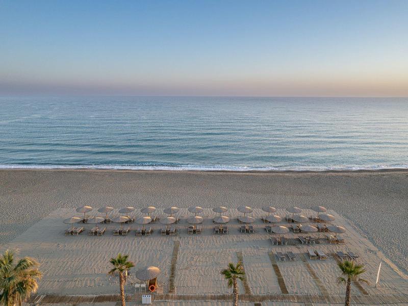 Une plage de sable calme avec des rangées de parasols et des palmiers au premier plan au lever du soleil.