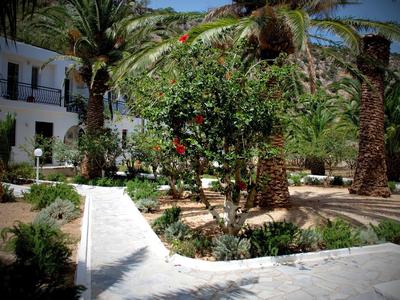 Avra Palm