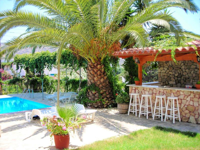 Zonnige poolbar met palmbomen en witte barkrukken in een hotel tuin