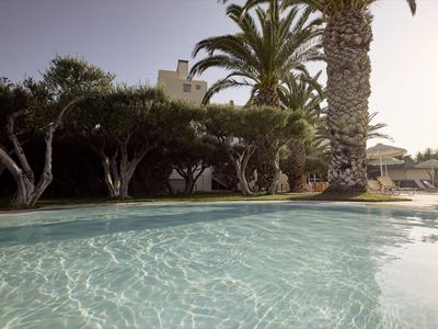 Pool with clear water and palm trees in the background under sunlight.