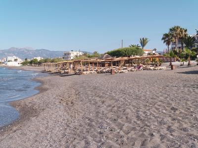 Piaszczysta plaża z leżakami, parasolami i palmami pod jasnym niebieskim niebem.